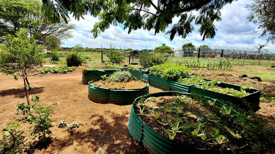 4 Bedroom Property for Sale in Palmietfontein Limpopo