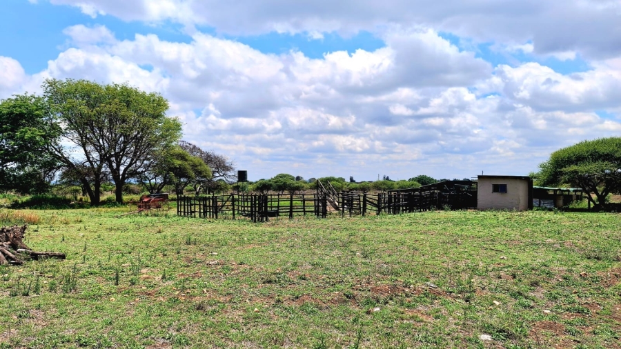 4 Bedroom Property for Sale in Palmietfontein Limpopo