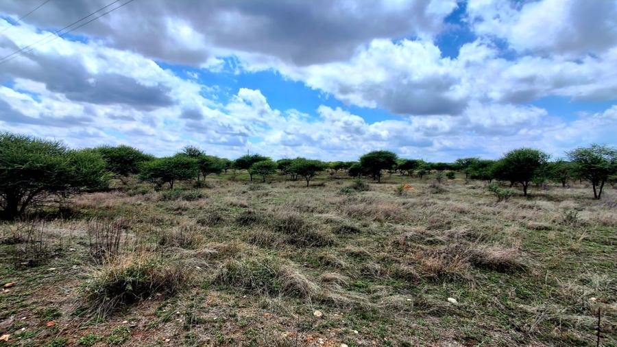 4 Bedroom Property for Sale in Palmietfontein Limpopo