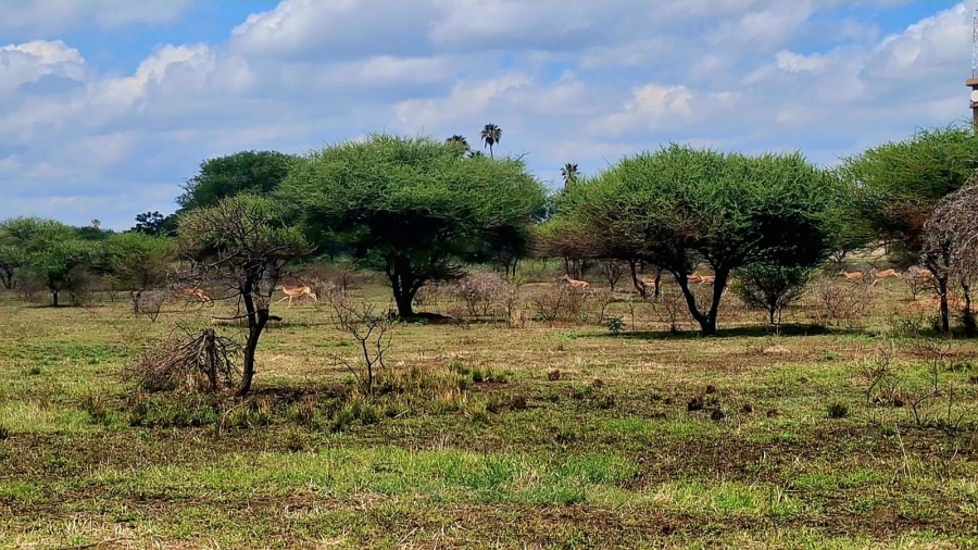 4 Bedroom Property for Sale in Palmietfontein Limpopo