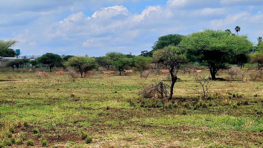 4 Bedroom Property for Sale in Palmietfontein Limpopo