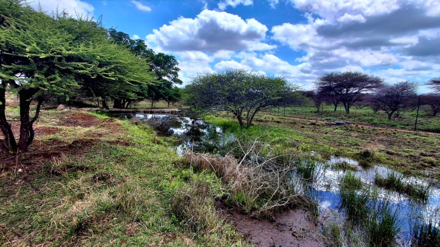 4 Bedroom Property for Sale in Palmietfontein Limpopo