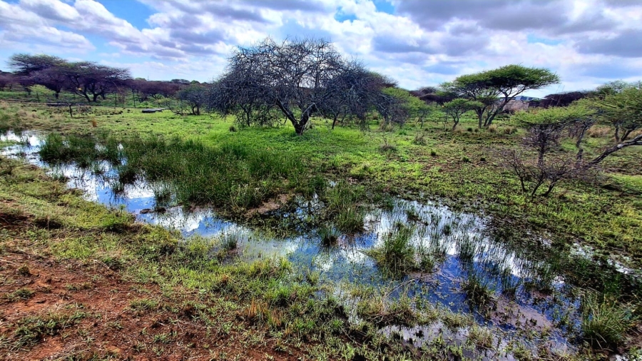 4 Bedroom Property for Sale in Palmietfontein Limpopo