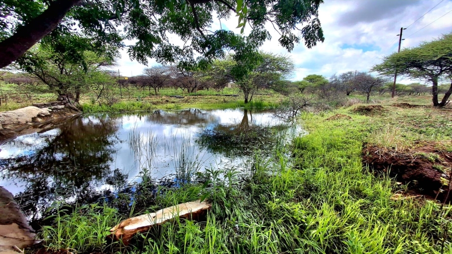 4 Bedroom Property for Sale in Palmietfontein Limpopo