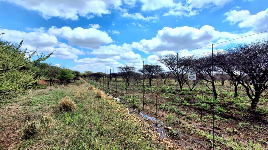 4 Bedroom Property for Sale in Palmietfontein Limpopo