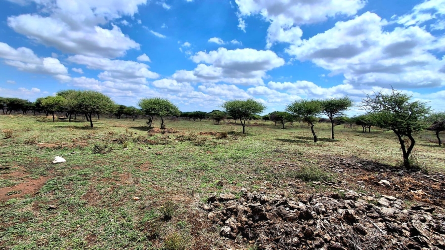 4 Bedroom Property for Sale in Palmietfontein Limpopo