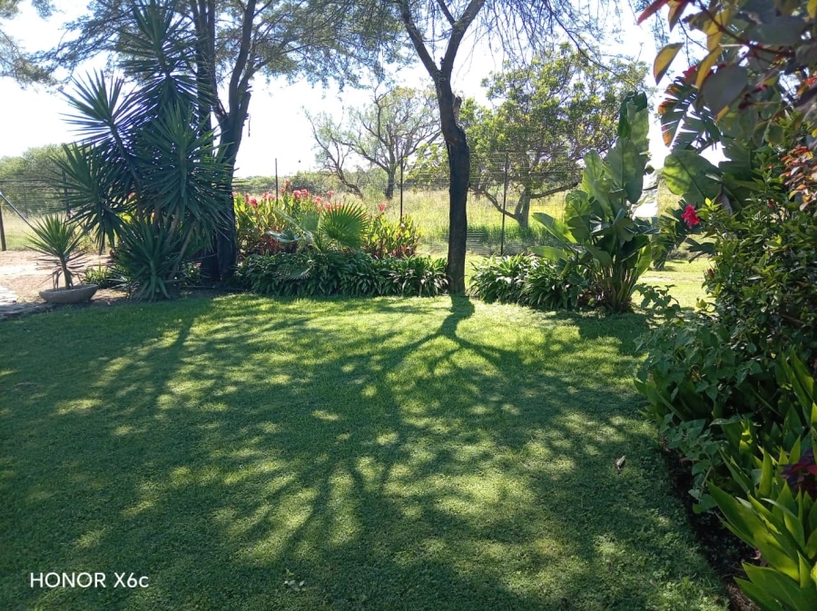 4 Bedroom Property for Sale in Palmietfontein Limpopo