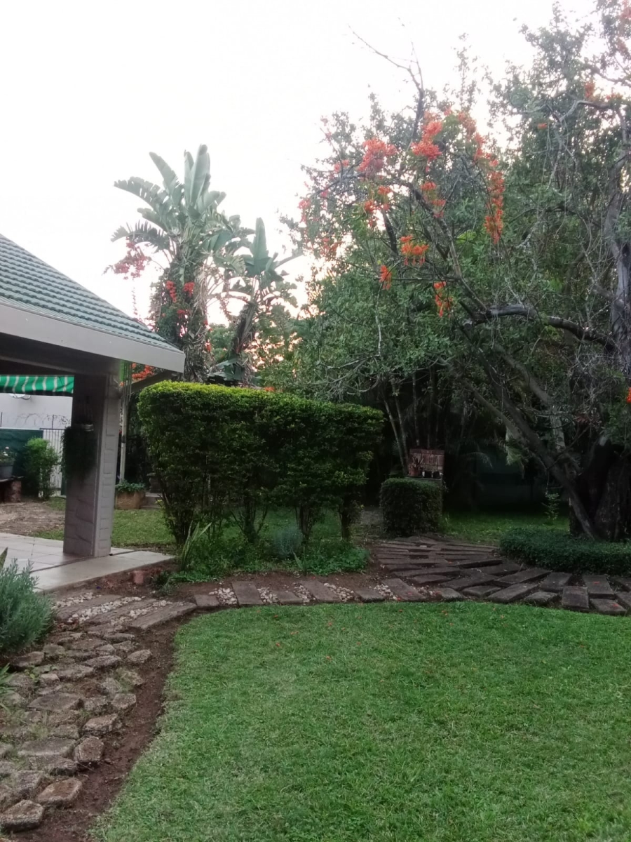 To Let 3 Bedroom Property for Rent in Bela Bela Limpopo