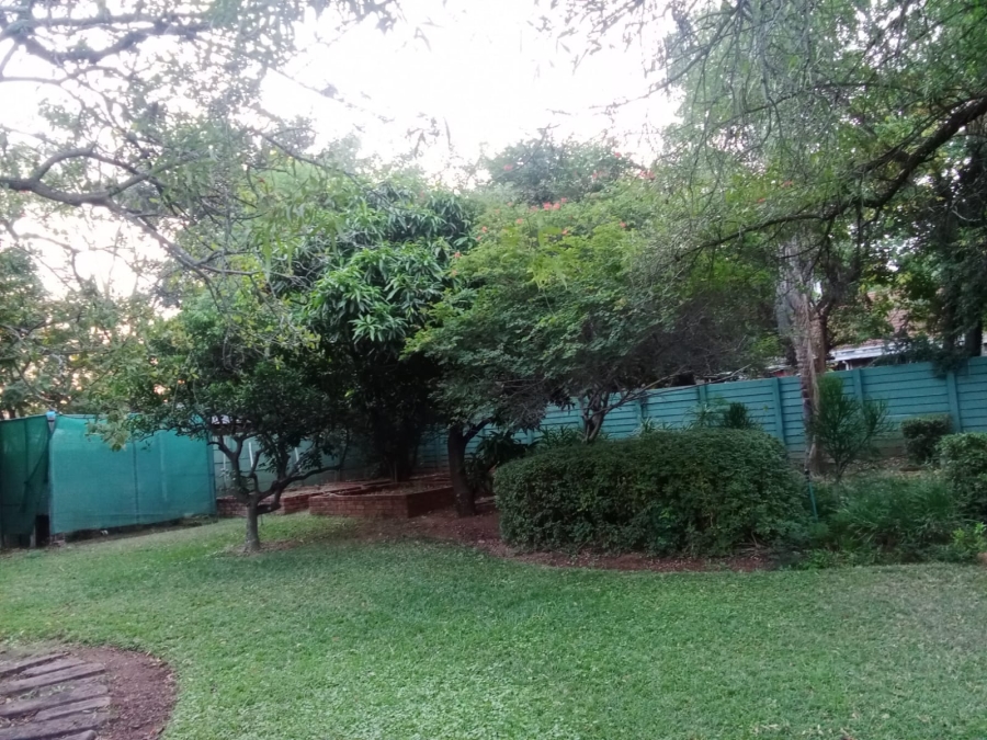 To Let 3 Bedroom Property for Rent in Bela Bela Limpopo