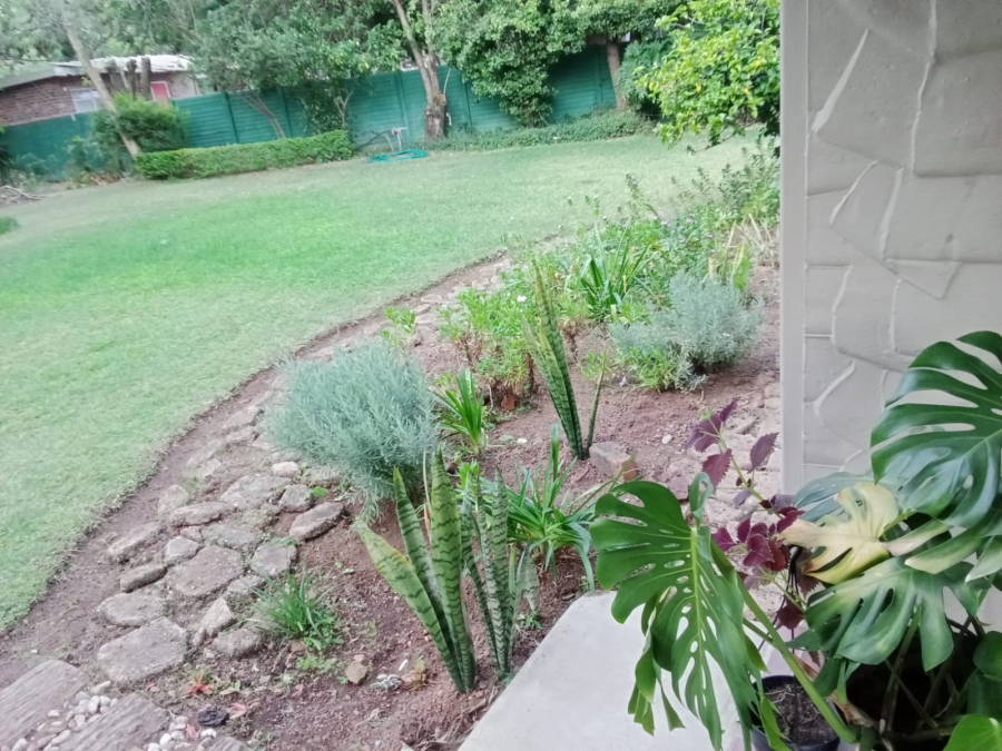 To Let 3 Bedroom Property for Rent in Bela Bela Limpopo