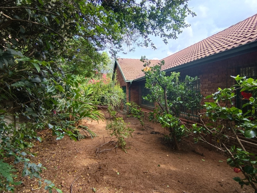 3 Bedroom Property for Sale in Bela Bela Limpopo