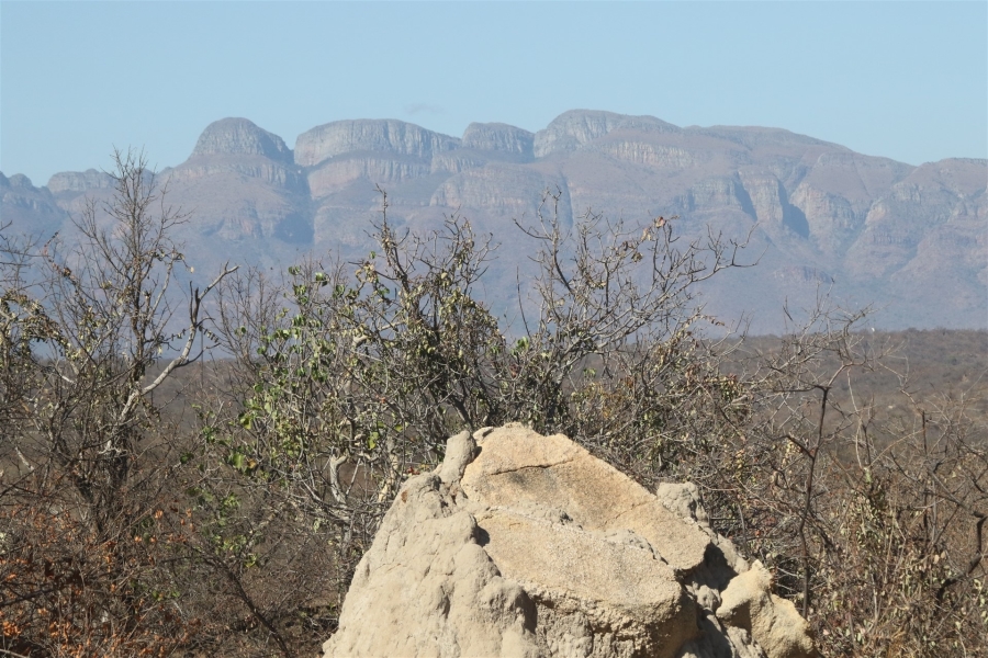 0 Bedroom Property for Sale in Lissataba Private Nature Reserve Limpopo