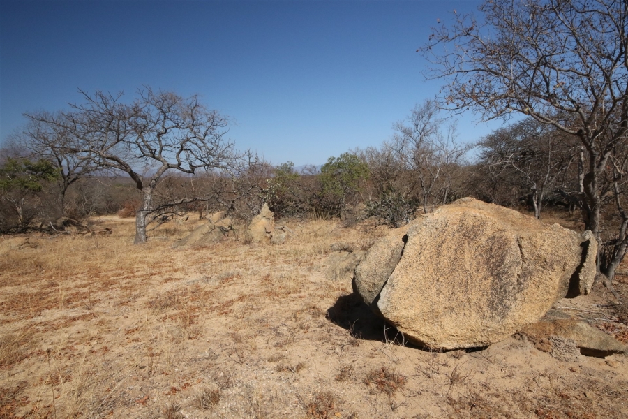 0 Bedroom Property for Sale in Lissataba Private Nature Reserve Limpopo