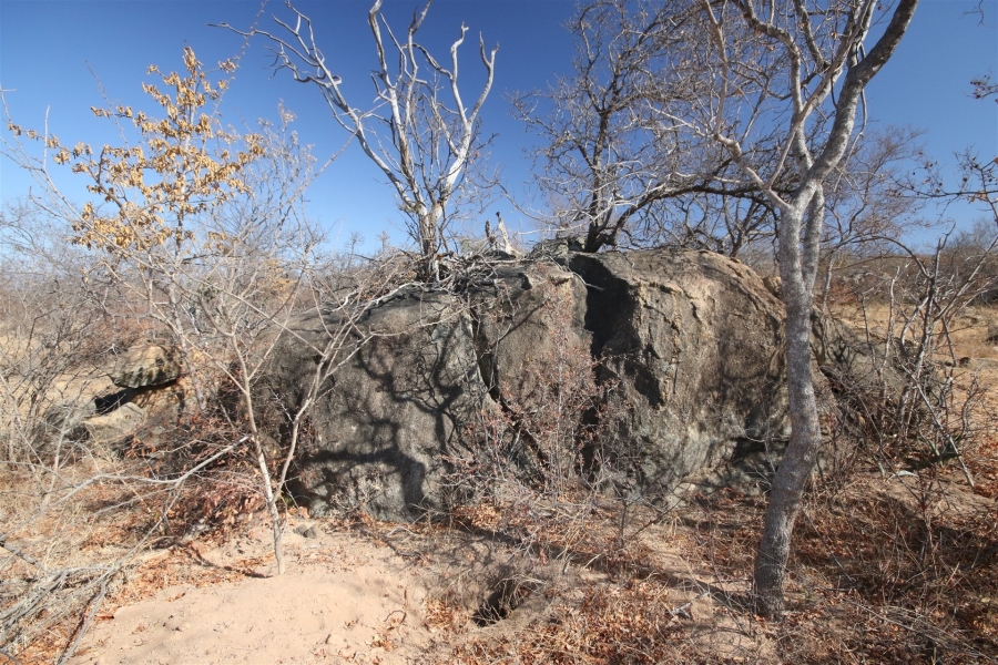 0 Bedroom Property for Sale in Lissataba Private Nature Reserve Limpopo