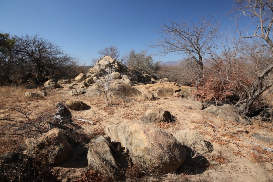 0 Bedroom Property for Sale in Lissataba Private Nature Reserve Limpopo