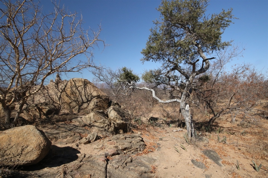 0 Bedroom Property for Sale in Lissataba Private Nature Reserve Limpopo