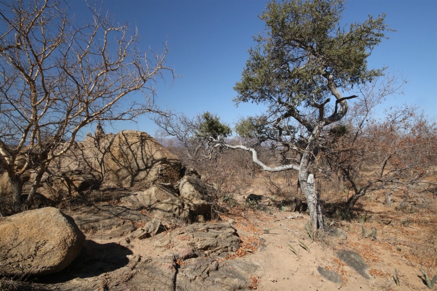 0 Bedroom Property for Sale in Lissataba Private Nature Reserve Limpopo