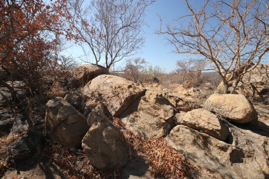 0 Bedroom Property for Sale in Lissataba Private Nature Reserve Limpopo