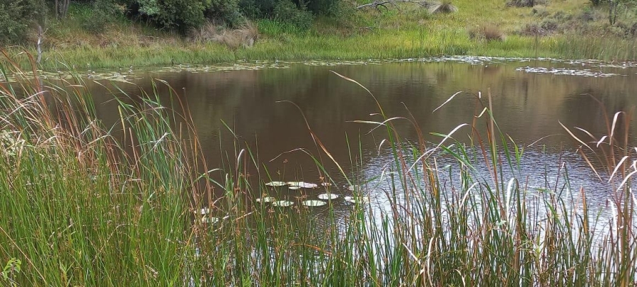 0 Bedroom Property for Sale in Bela Bela Limpopo