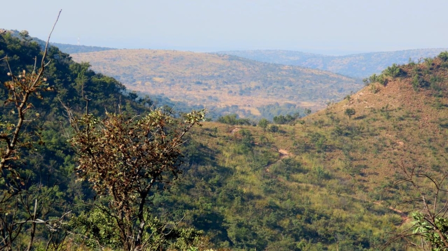 0 Bedroom Property for Sale in Bela Bela Limpopo