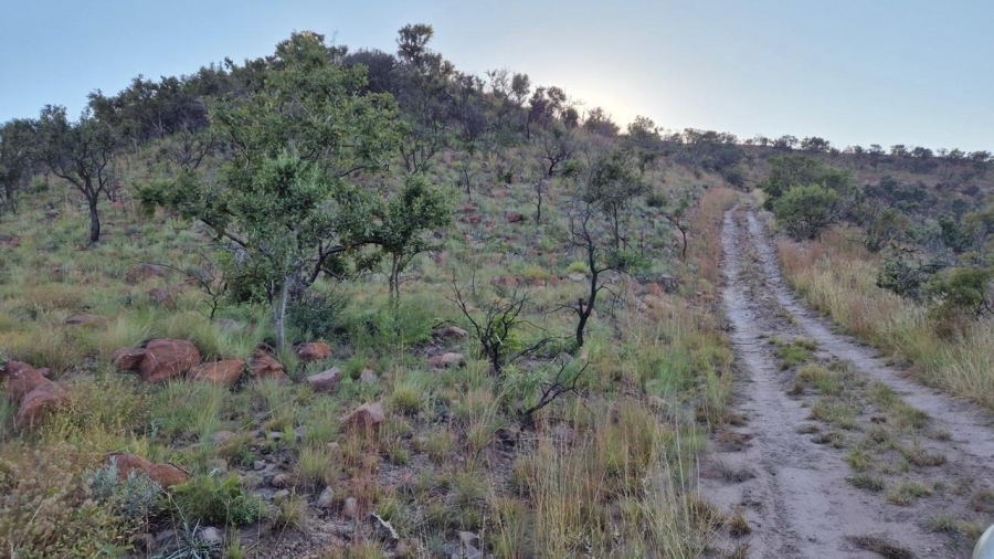 0 Bedroom Property for Sale in Bela Bela Limpopo