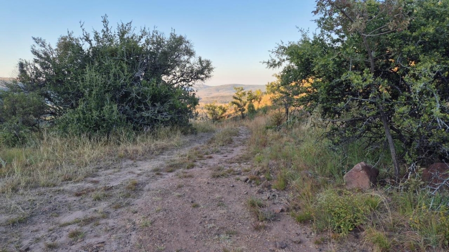 0 Bedroom Property for Sale in Bela Bela Limpopo