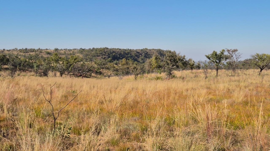 0 Bedroom Property for Sale in Bela Bela Limpopo