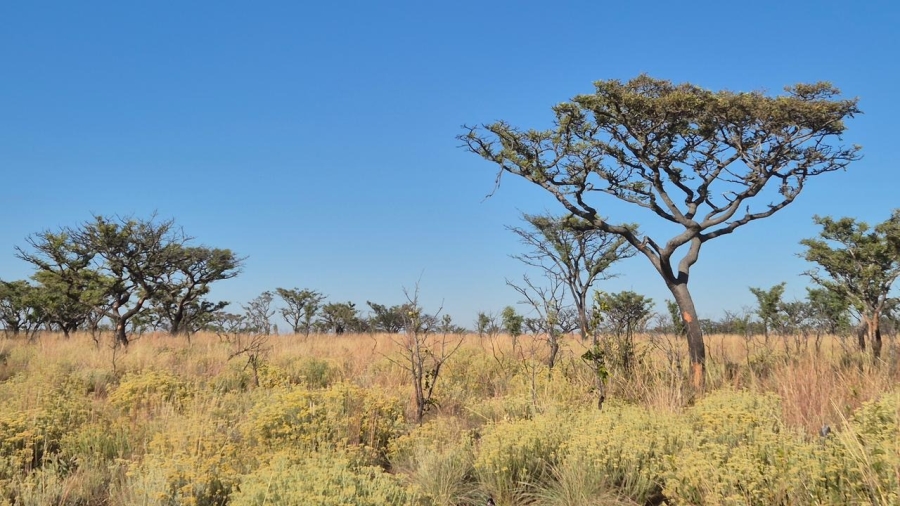 0 Bedroom Property for Sale in Bela Bela Limpopo