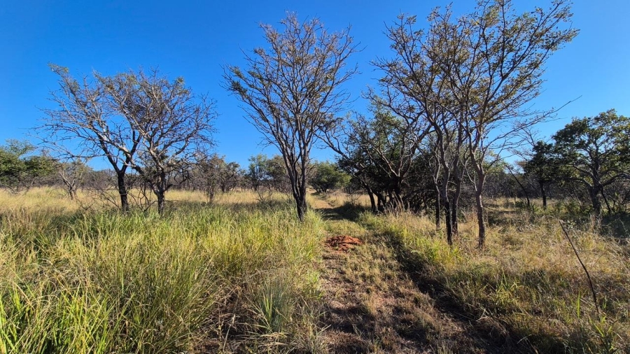 0 Bedroom Property for Sale in Bela Bela Limpopo