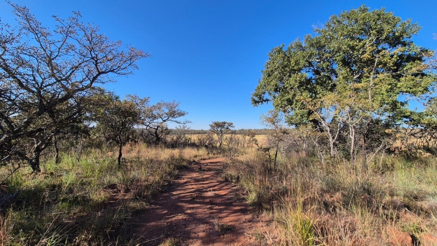 0 Bedroom Property for Sale in Bela Bela Limpopo