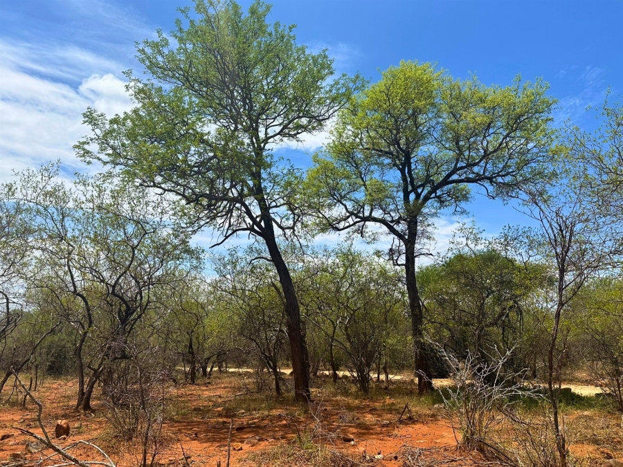 0 Bedroom Property for Sale in Canyon Game Reserve Limpopo