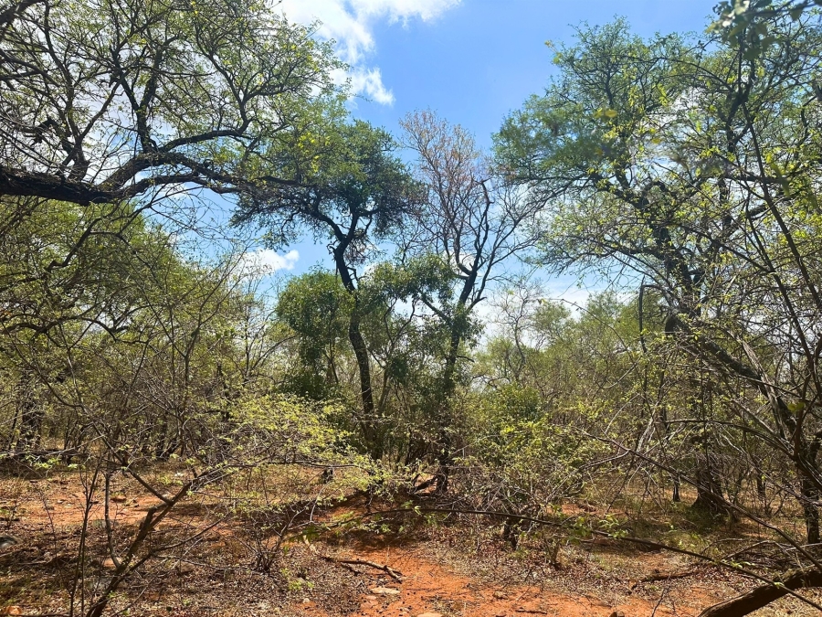 0 Bedroom Property for Sale in Canyon Game Reserve Limpopo