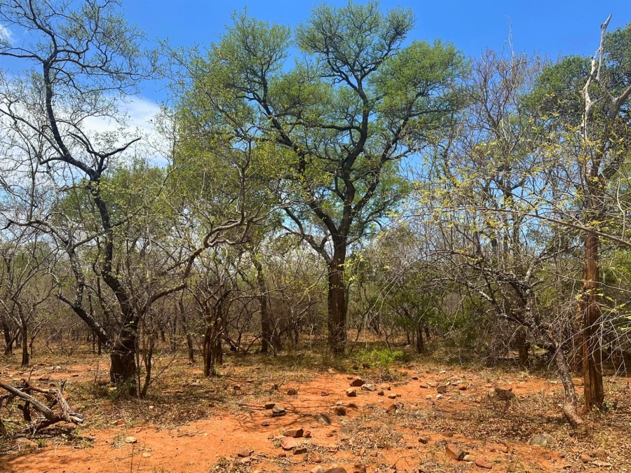 0 Bedroom Property for Sale in Canyon Game Reserve Limpopo