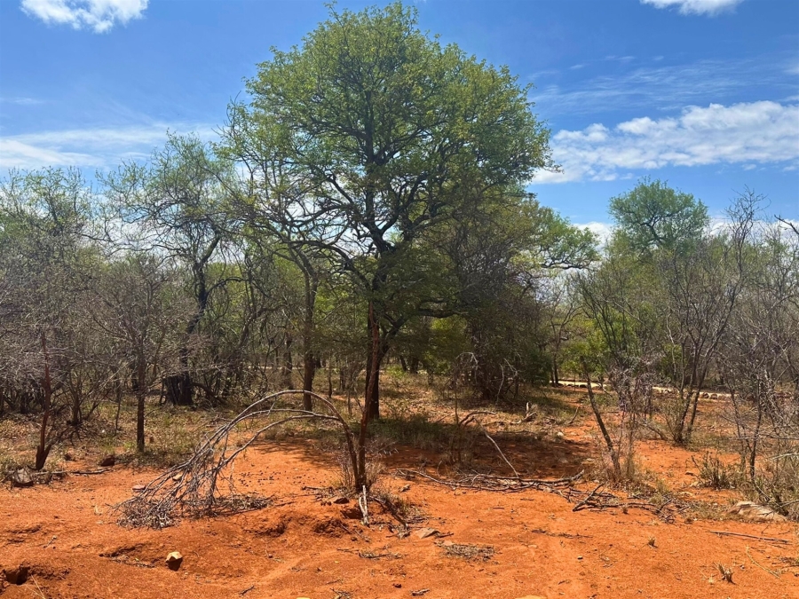 0 Bedroom Property for Sale in Canyon Game Reserve Limpopo