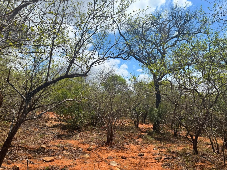 0 Bedroom Property for Sale in Canyon Game Reserve Limpopo