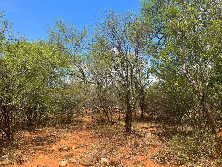 0 Bedroom Property for Sale in Canyon Game Reserve Limpopo