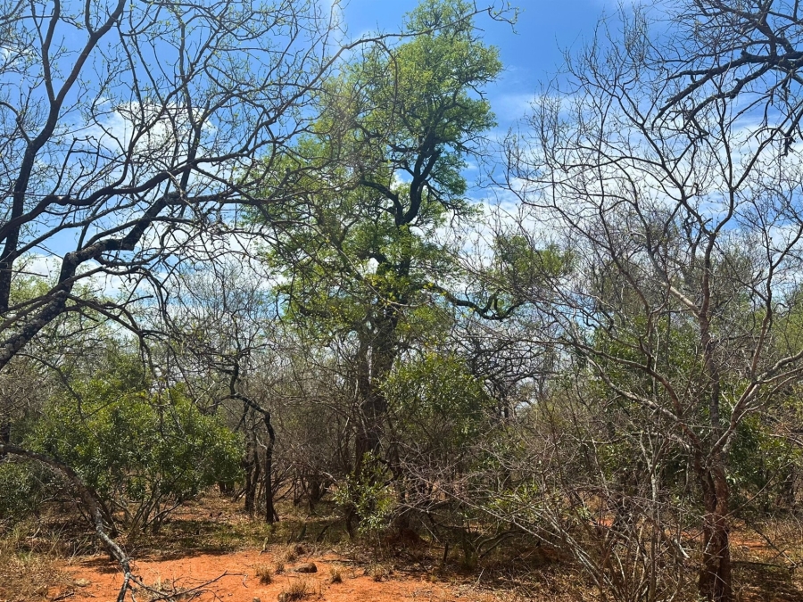 0 Bedroom Property for Sale in Canyon Game Reserve Limpopo