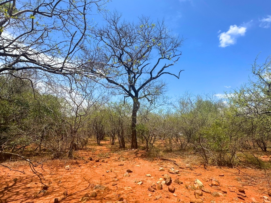 0 Bedroom Property for Sale in Canyon Game Reserve Limpopo