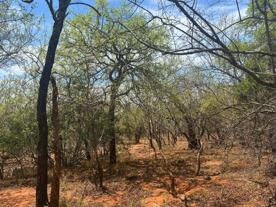 0 Bedroom Property for Sale in Canyon Game Reserve Limpopo