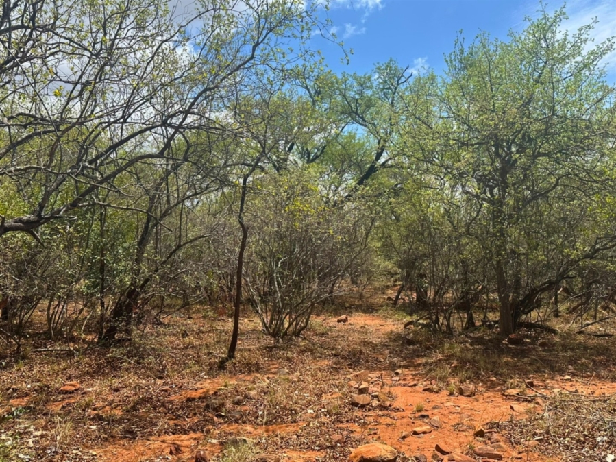 0 Bedroom Property for Sale in Canyon Game Reserve Limpopo