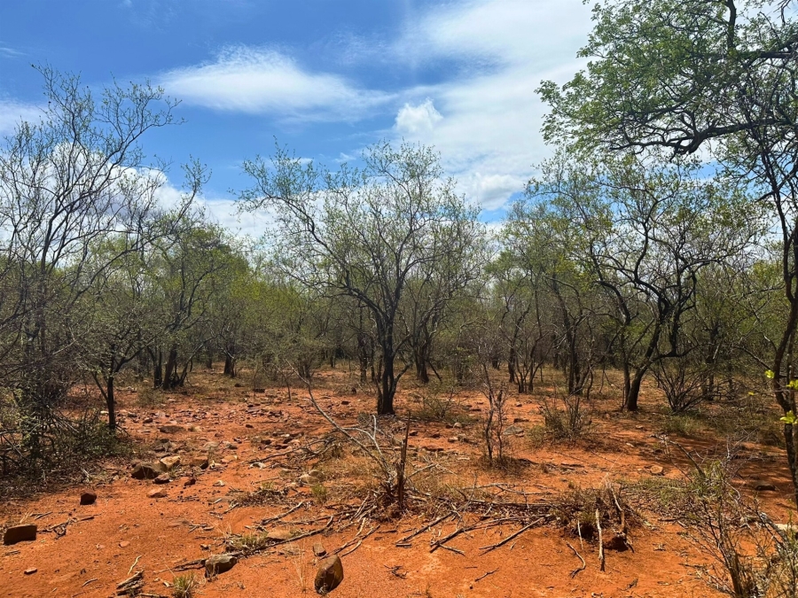 0 Bedroom Property for Sale in Canyon Game Reserve Limpopo