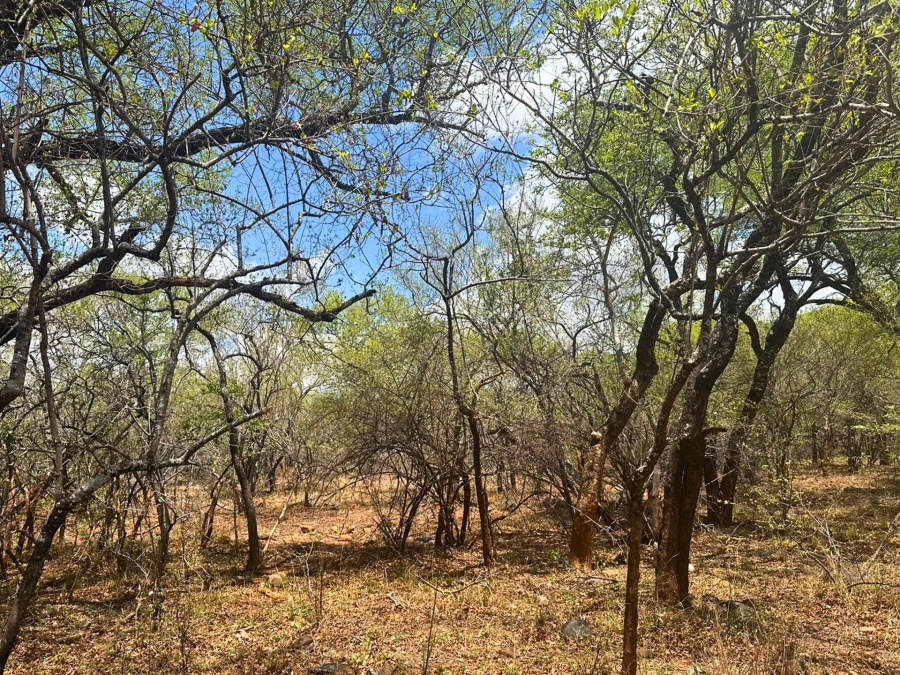 0 Bedroom Property for Sale in Canyon Game Reserve Limpopo