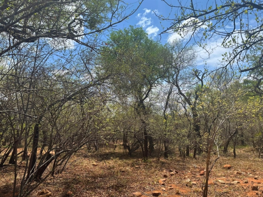 0 Bedroom Property for Sale in Canyon Game Reserve Limpopo