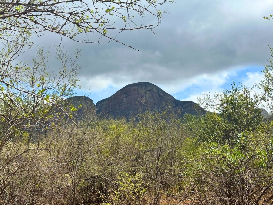 0 Bedroom Property for Sale in Canyon Game Reserve Limpopo