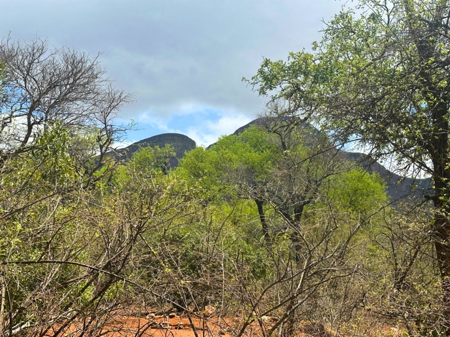 0 Bedroom Property for Sale in Canyon Game Reserve Limpopo