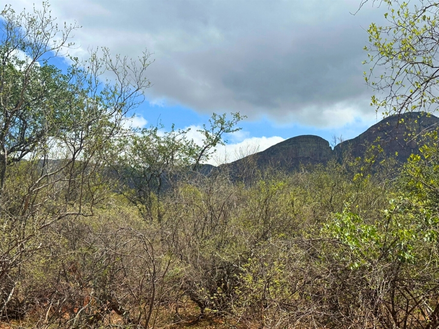 0 Bedroom Property for Sale in Canyon Game Reserve Limpopo