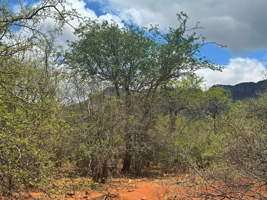0 Bedroom Property for Sale in Canyon Game Reserve Limpopo