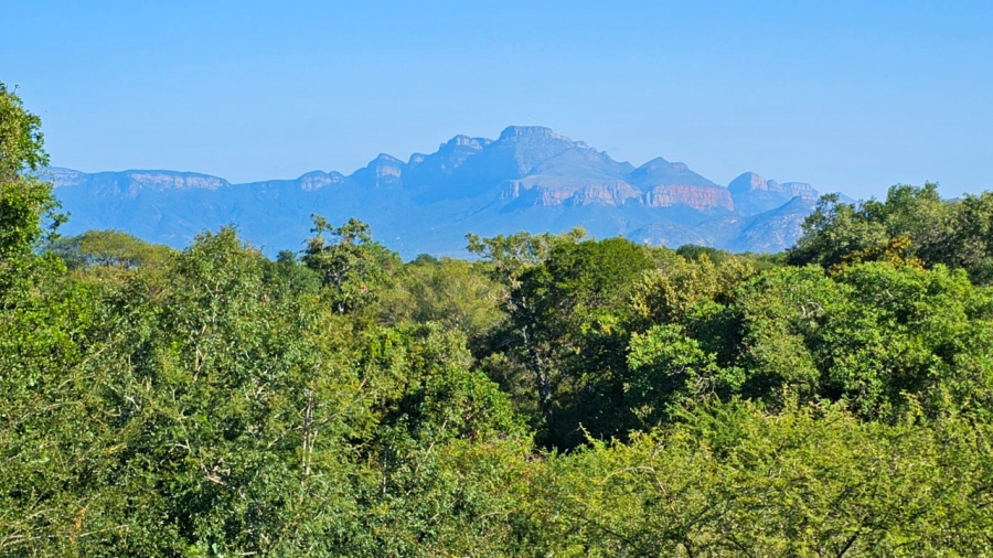 3 Bedroom Property for Sale in Leadwood Big Game Estate Limpopo