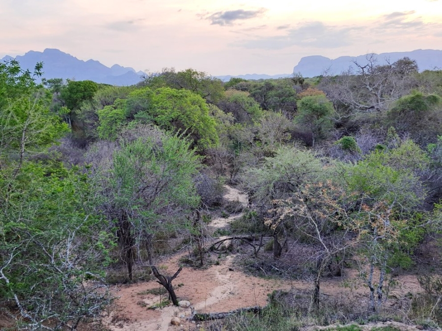 3 Bedroom Property for Sale in Leadwood Big Game Estate Limpopo