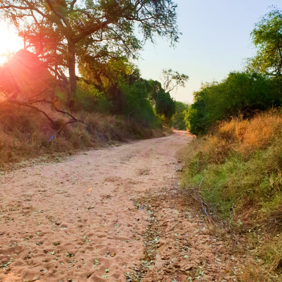 3 Bedroom Property for Sale in Leadwood Big Game Estate Limpopo